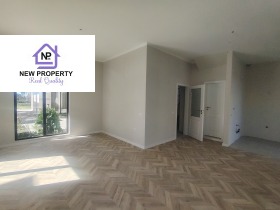 ������ ������� ����