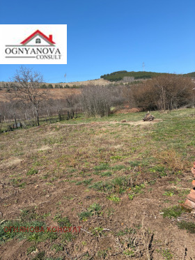 ����� ������� ������,�. ����� ������, ������ ������