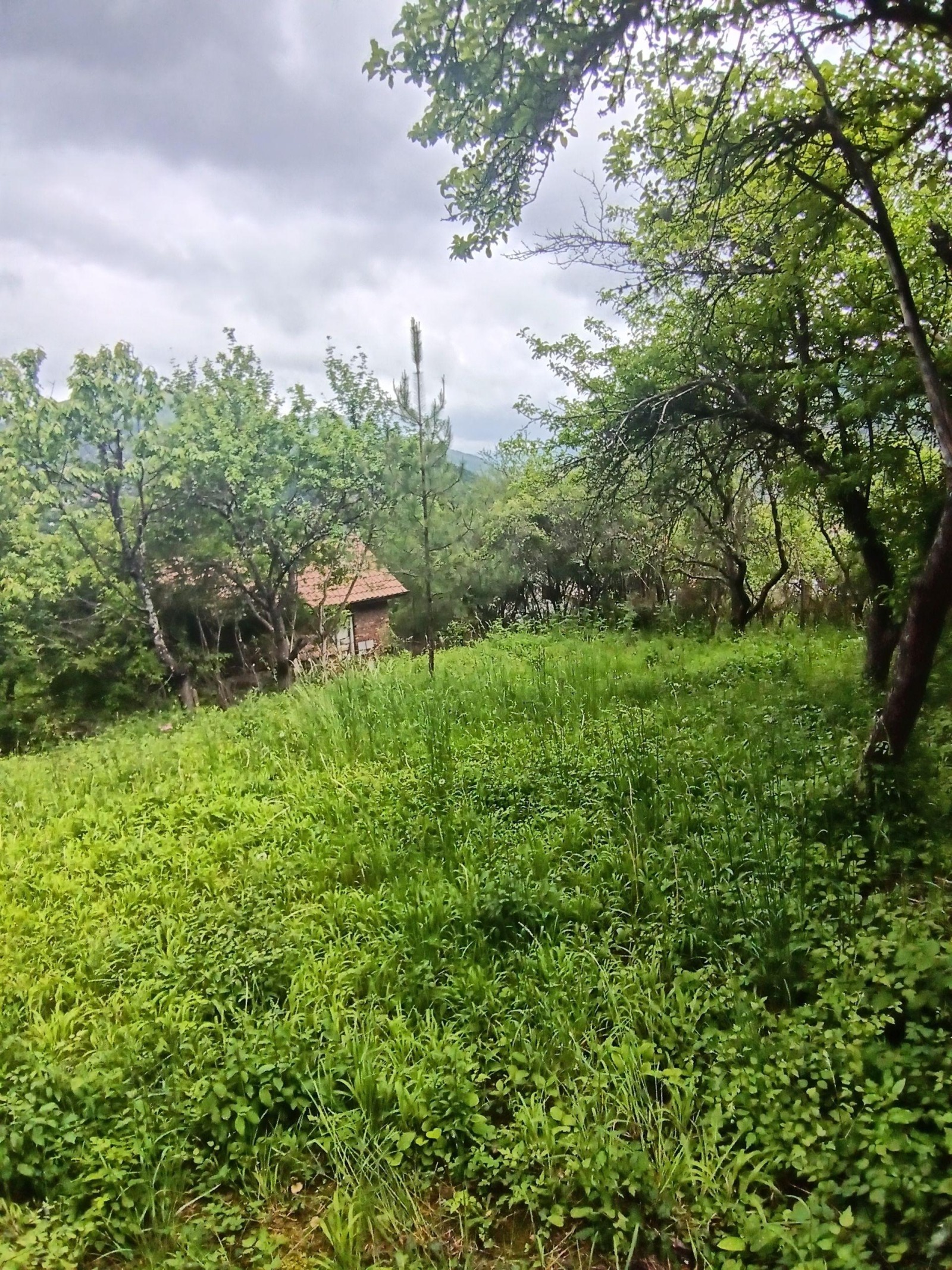 Продава КЪЩА, с. Владо Тричков, област София област, снимка 5 - Къщи - 54689355