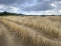 Продава  Парцел област Варна , с. Кичево , 20806 кв.м | 57384960 - изображение [2]