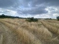 Продава  Парцел област Варна , с. Кичево , 20806 кв.м | 57384960