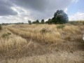 Продава  Парцел област Варна , с. Кичево , 20806 кв.м | 57384960 - изображение [3]