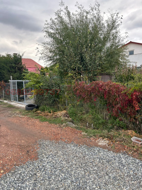 ������� ������ | Imot.bg � ����� ������ 10