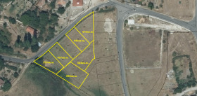 ������ ������� ������