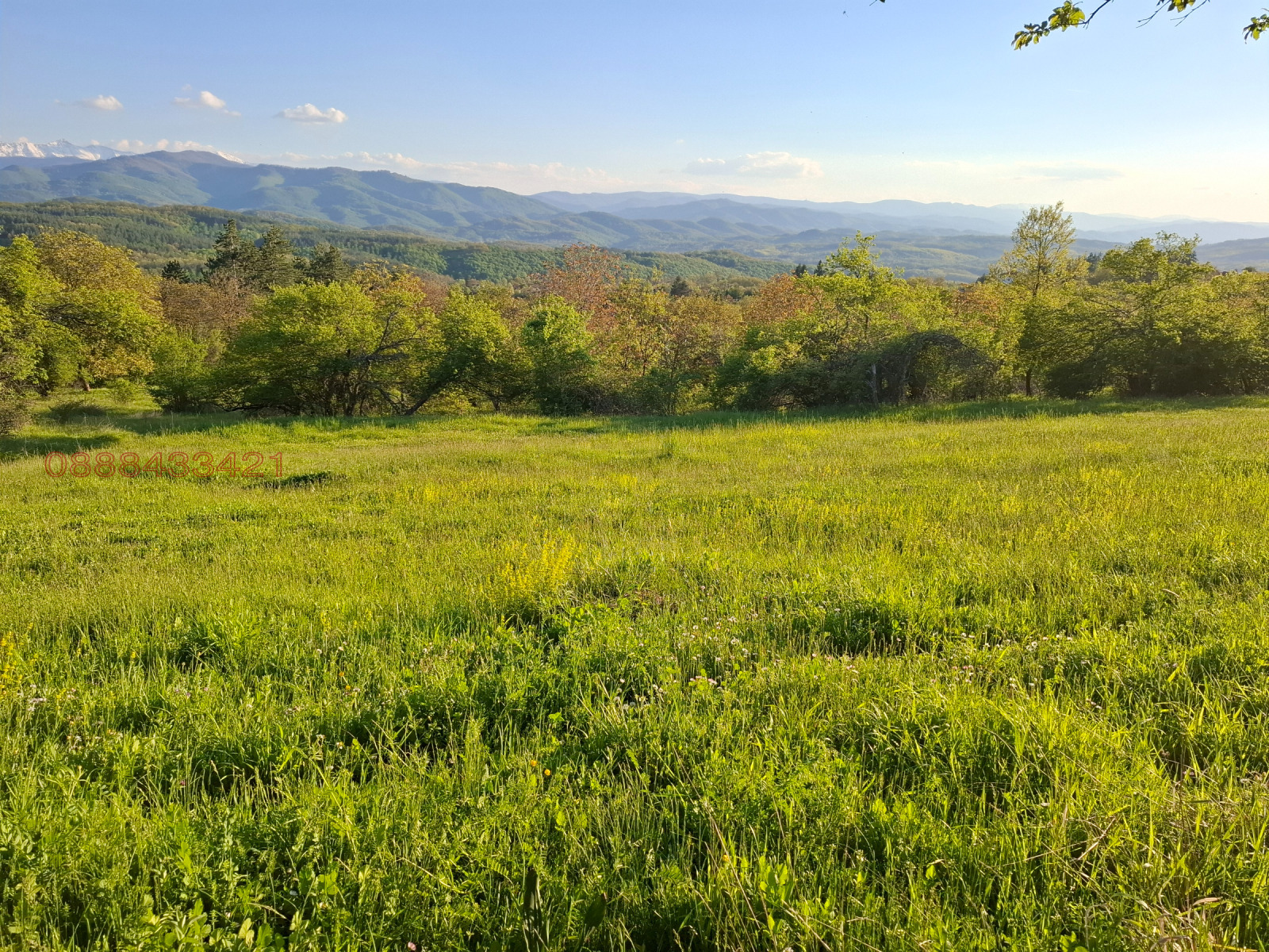 ������� ������ | Imot.bg � ����������� 3