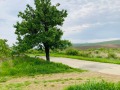 Продава ЗЕМЕДЕЛСКА ЗЕМЯ, гр. Обзор, област Бургас, снимка 2