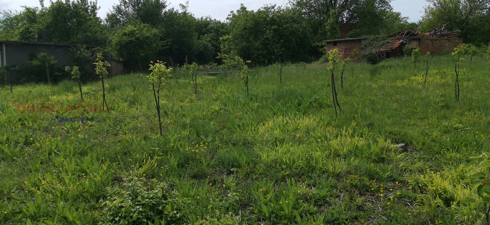 ������� ������ | Imot.bg � ����������� 6