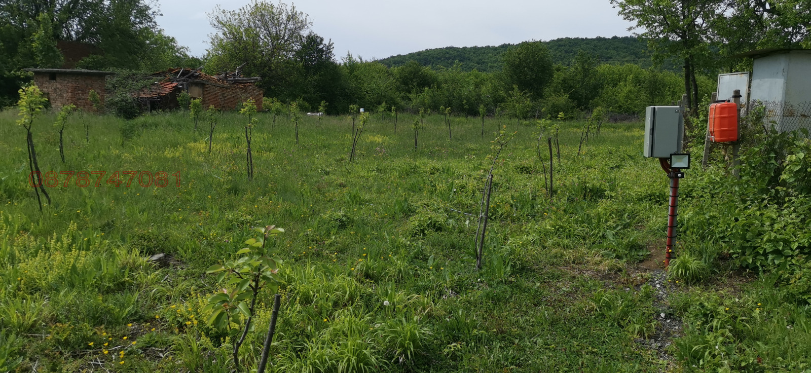 Продава ПАРЦЕЛ, с. Батулци, област Ловеч, снимка 2 - Парцели - 54579333