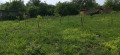Продава ПАРЦЕЛ, с. Батулци, област Ловеч, снимка 6