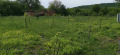 Продава ПАРЦЕЛ, с. Батулци, област Ловеч, снимка 3