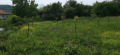 Продава ПАРЦЕЛ, с. Батулци, област Ловеч, снимка 5
