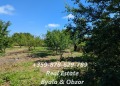 Продава  Къща област Варна , с. Горица , 90 кв.м | 85263865 - изображение [17]