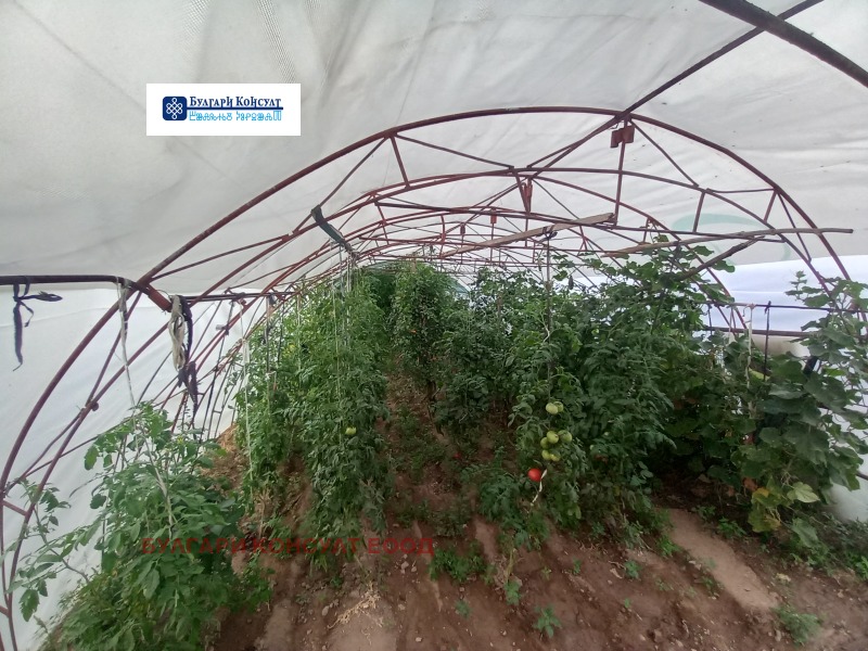 Till salu  Hus region Kyustendil , Dragovistjica , 240 kvm | 33341049 - bild [6]
