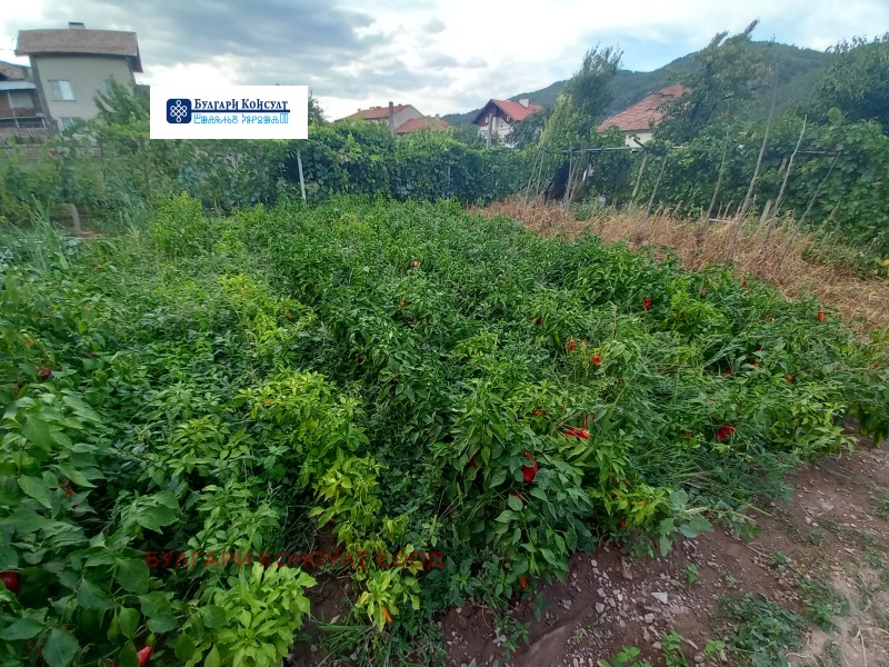 Till salu  Hus region Kyustendil , Dragovistjica , 240 kvm | 33341049 - bild [7]