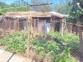Продава КЪЩА, с. Обнова, област Плевен, снимка 15