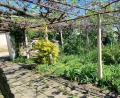 Продава КЪЩА, област Пловдив, с. Голям чардак • 56500 € • 73832847 — Holmes.bg