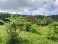Продава  Парцел област Пловдив , с. Брестовица , 3000 кв.м | 34982714 - изображение [3]