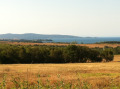 Продава ПАРЦЕЛ, с. Лозенец, област Бургас, снимка 2