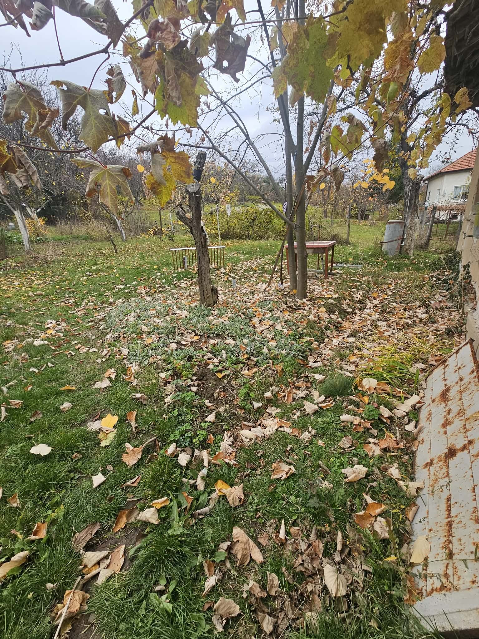 ������� ���� | Imot.bg � ����������� 2