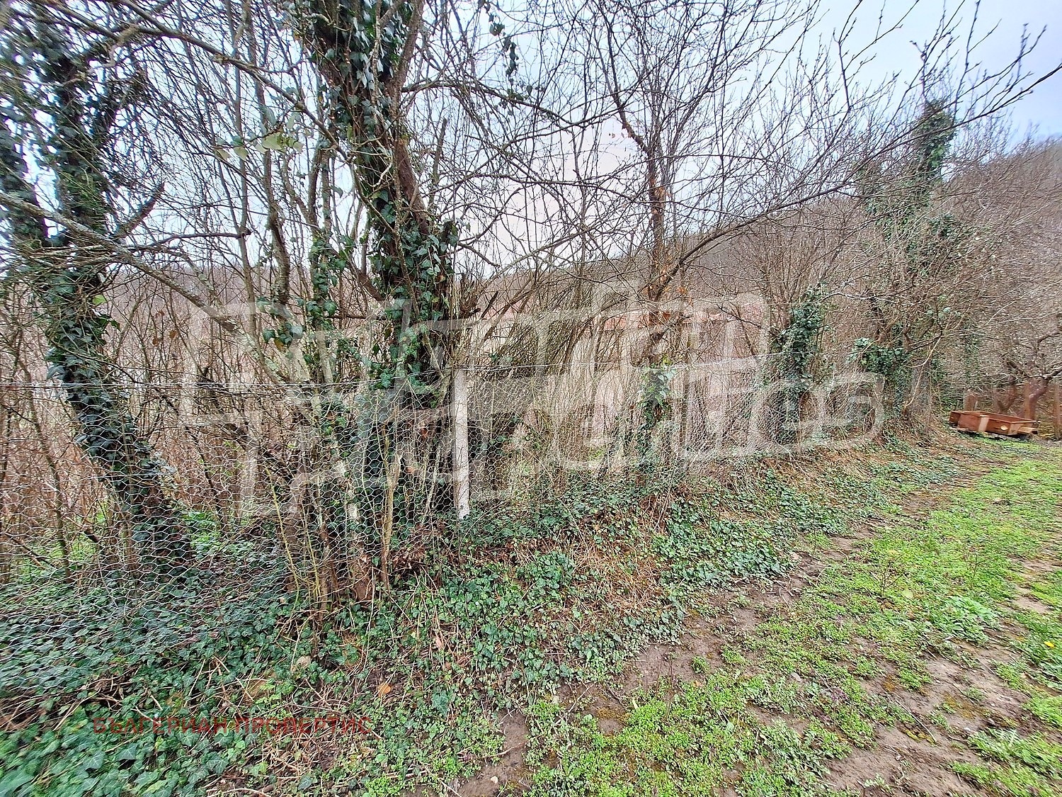 ������� ������ | Imot.bg � ����������� 8