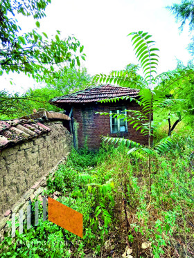 ������� ���� | Imot.bg � ����� ������ 17