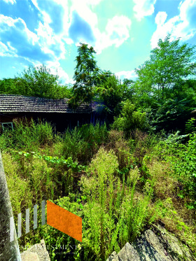 ������� ���� | Imot.bg � ����� ������ 12