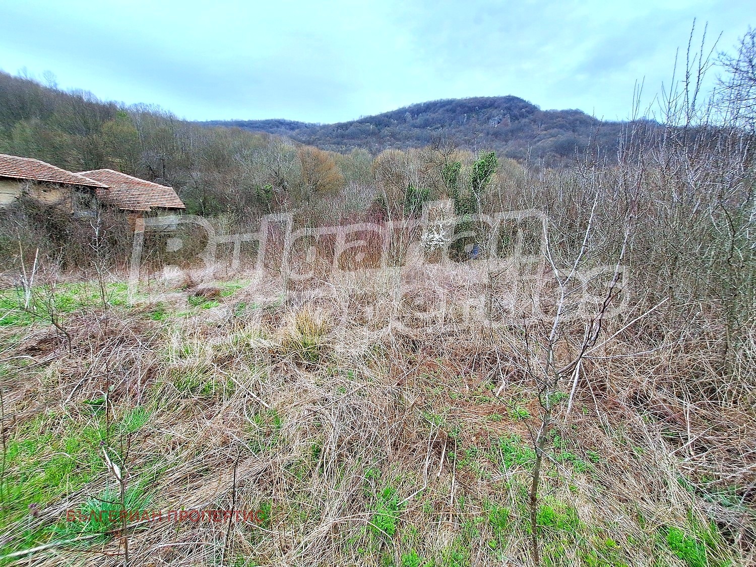 Продава ПАРЦЕЛ, с. Тодювци, област Велико Търново, снимка 2 - Парцели - 54082513