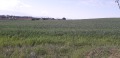 Продава ПАРЦЕЛ, област София, с. Драговищица • 165500 лв. • 24520195 — Holmes.bg
