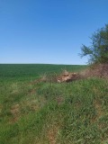 Продава ПАРЦЕЛ, област София, с. Драговищица • 165500 лв. • 24520195 — Holmes.bg