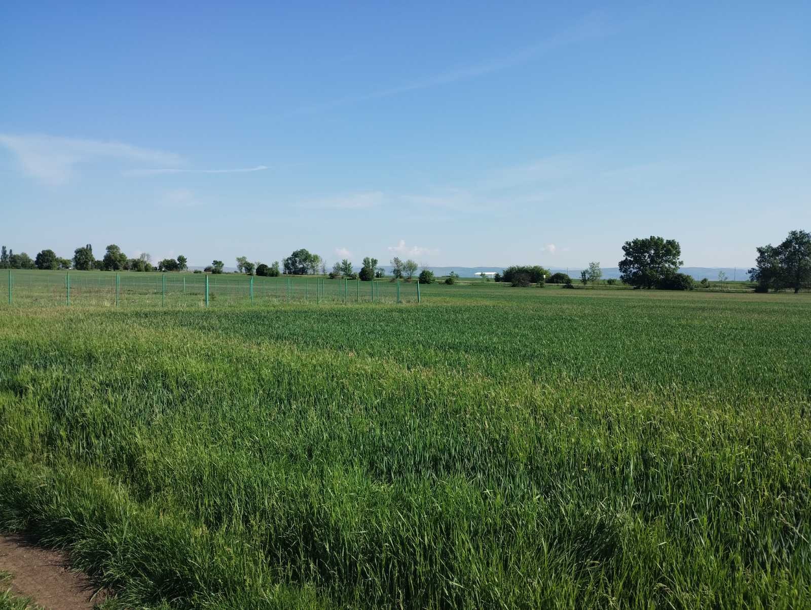 ������� ������ | Imot.bg � ����������� 1