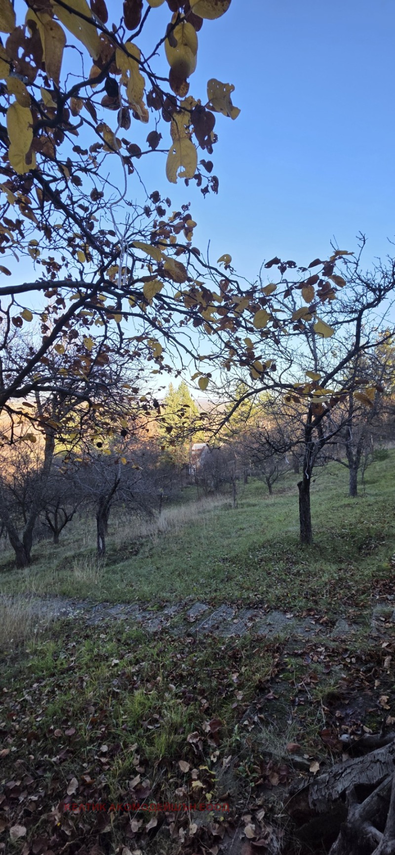 Продава ВИЛА, с. Дяково, област Кюстендил, снимка 6 - Вили - 52441896