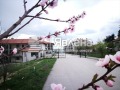 Продава 2-СТАЕН, област Варна, с. Приселци • 87500 € • 15036035 — Holmes.bg