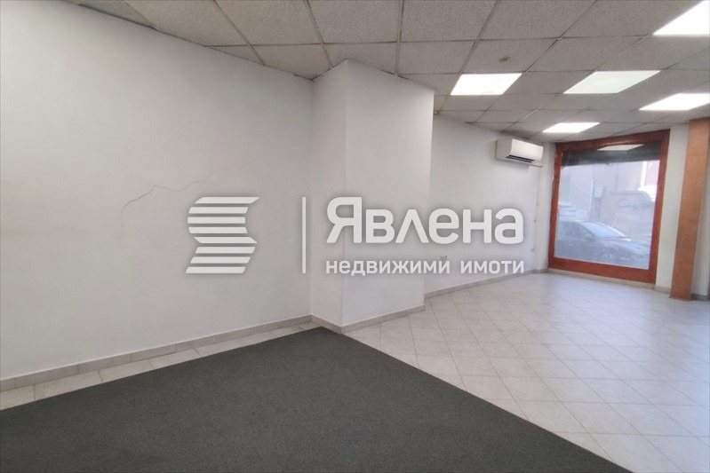 Продава МАГАЗИН, гр. Пловдив, Център, снимка 3 - Магазини - 56135355