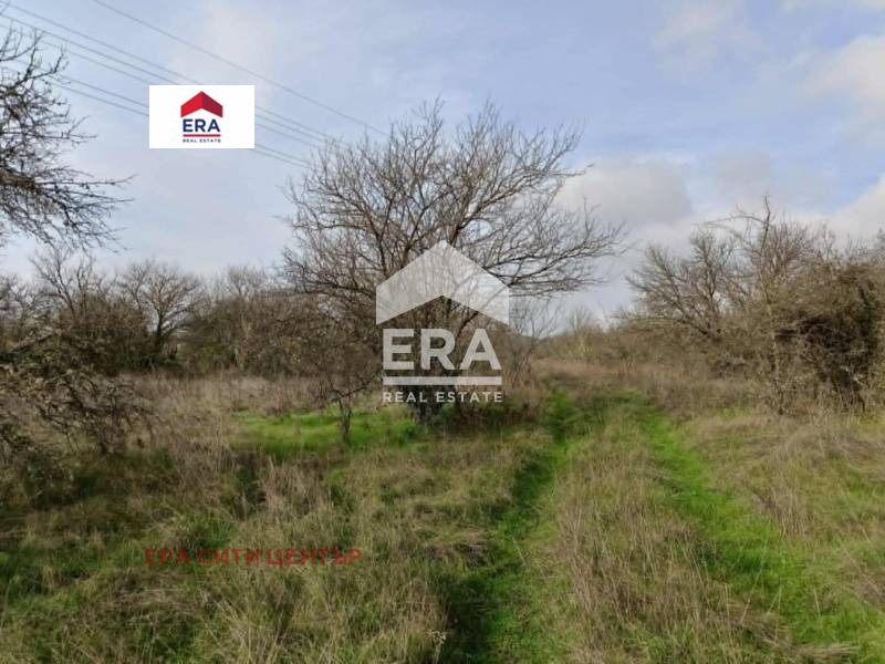 Продава ПАРЦЕЛ, с. Ново село, област Стара Загора, снимка 2 - Парцели - 52652020