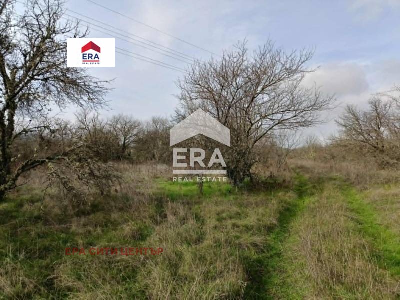 Продава ПАРЦЕЛ, с. Ново село, област Стара Загора, снимка 3 - Парцели - 52652020