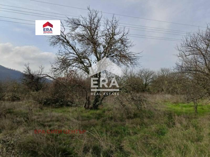 Продава ПАРЦЕЛ, с. Ново село, област Стара Загора, снимка 2 - Парцели - 52652020