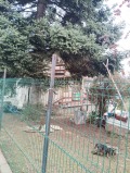 Продава КЪЩА, гр. София, с. Панчарево, снимка 5