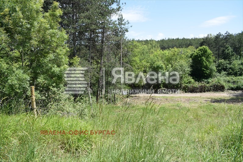 For Sale  Plot region Burgas , Tsarevo , 1003 sq.m | 22608352 - image [5]
