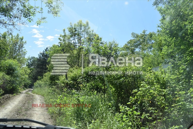For Sale  Plot region Burgas , Tsarevo , 1003 sq.m | 22608352 - image [3]