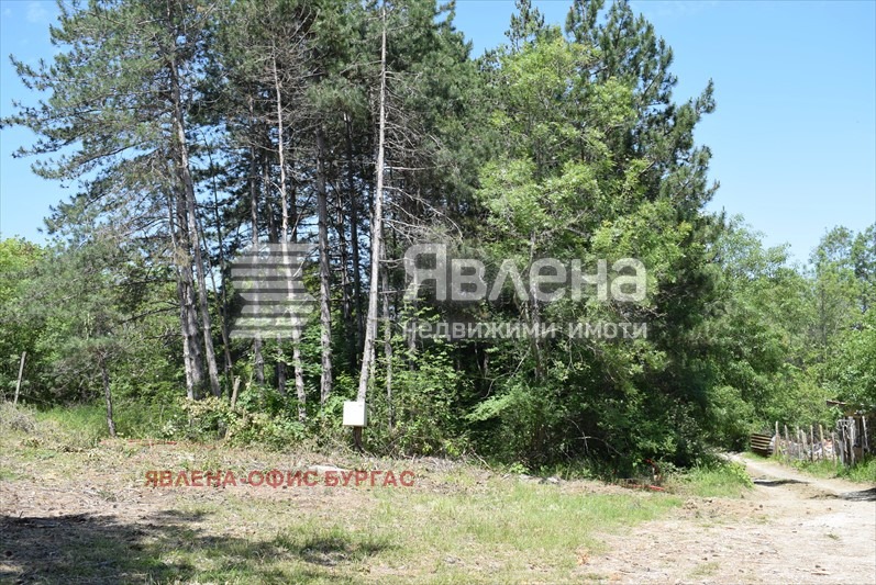 For Sale  Plot region Burgas , Tsarevo , 1003 sq.m | 22608352 - image [2]