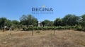 Продава КЪЩА, област Пловдив, с. Ново Железаре • 120000 € • 49903851 — Holmes.bg