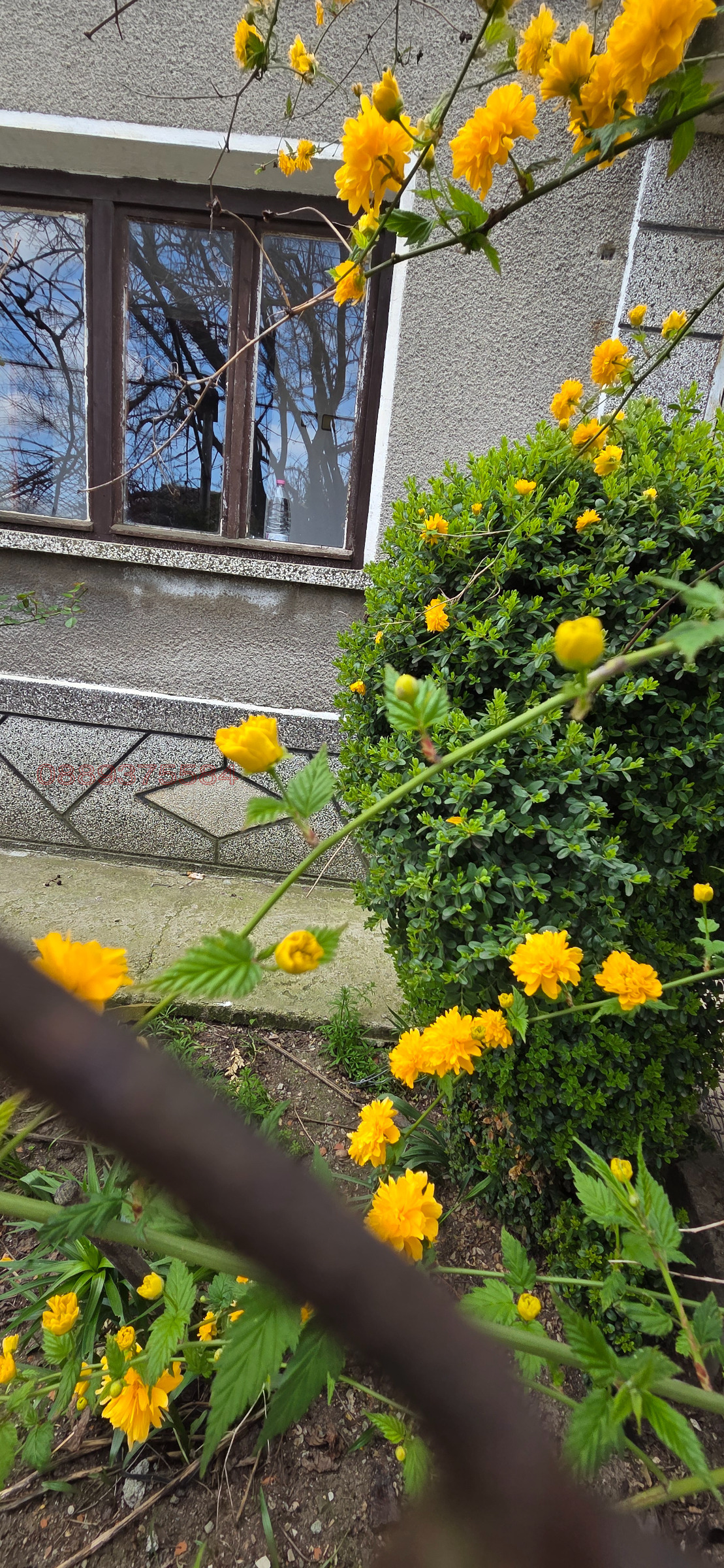 ������� ���� | Imot.bg � ����������� 10