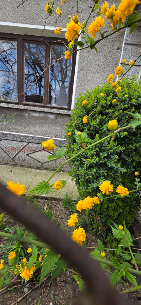 ������� ���� | Imot.bg � ����� ������ 10