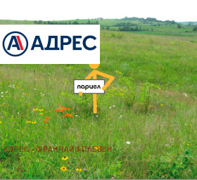 Продава парцел област Плевен с. Гривица - [1] 
