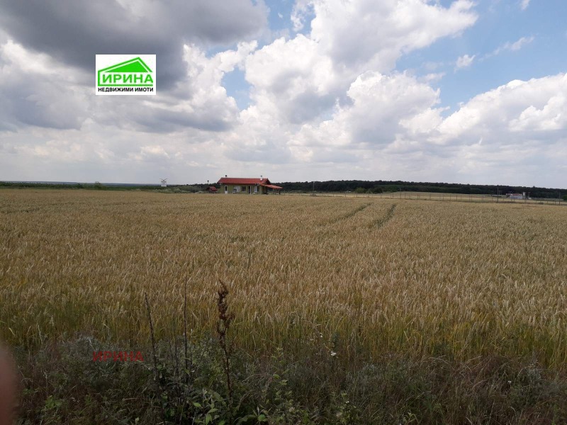 Продава  Парцел област Варна , с. Кичево , 7000 кв.м | 71841798 - изображение [7]