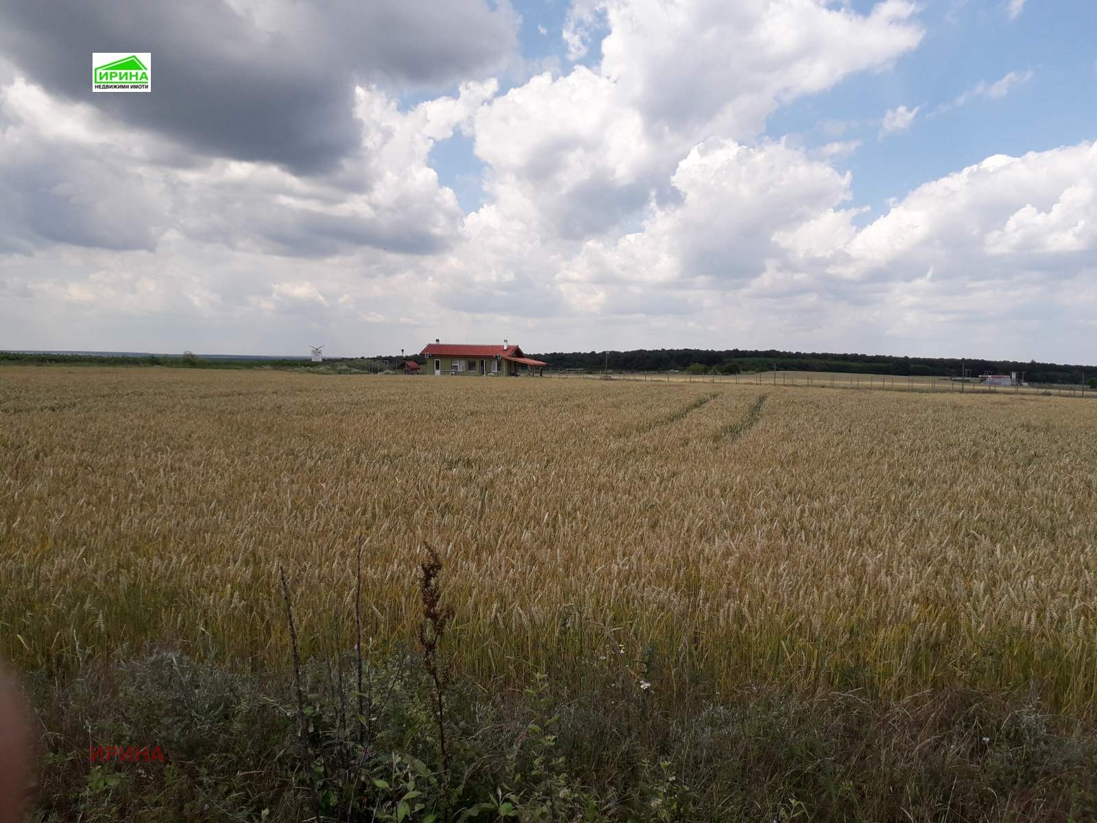 Продава ПАРЦЕЛ, с. Кичево, област Варна, снимка 7 - Парцели - 51292556