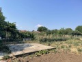 Продава КЪЩА, област Пазарджик, с. Добровница • 118000 € • 78829559 — Holmes.bg