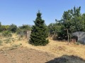 Продава КЪЩА, област Пазарджик, с. Добровница • 118000 € • 78829559 — Holmes.bg