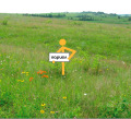 Продава ПАРЦЕЛ, област Плевен, с. Гривица • 45000 лв. • 80415794 — Holmes.bg