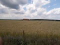 Продава ПАРЦЕЛ, област Варна, с. Кичево • 175000 € • 17001168 — Holmes.bg